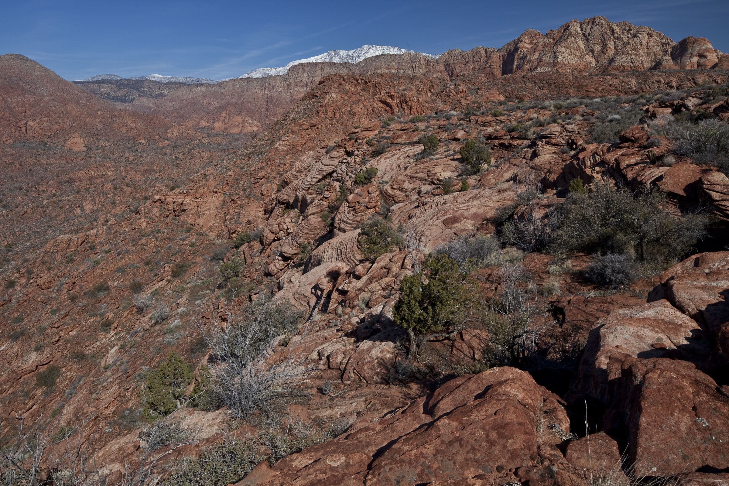 Red sandstone domes and sagebrush in the Red Cliffs desert outside St. George, Utah